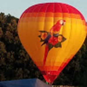 Sandals and bags. I have too many.